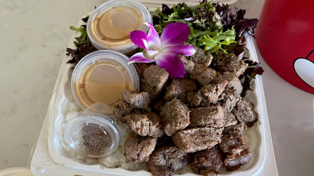 Cubes of garlic steak over white rice in a takeout box, with mixed salad leaves, a purple orchid, two cups of creamy dressing and a small cup of seasoning