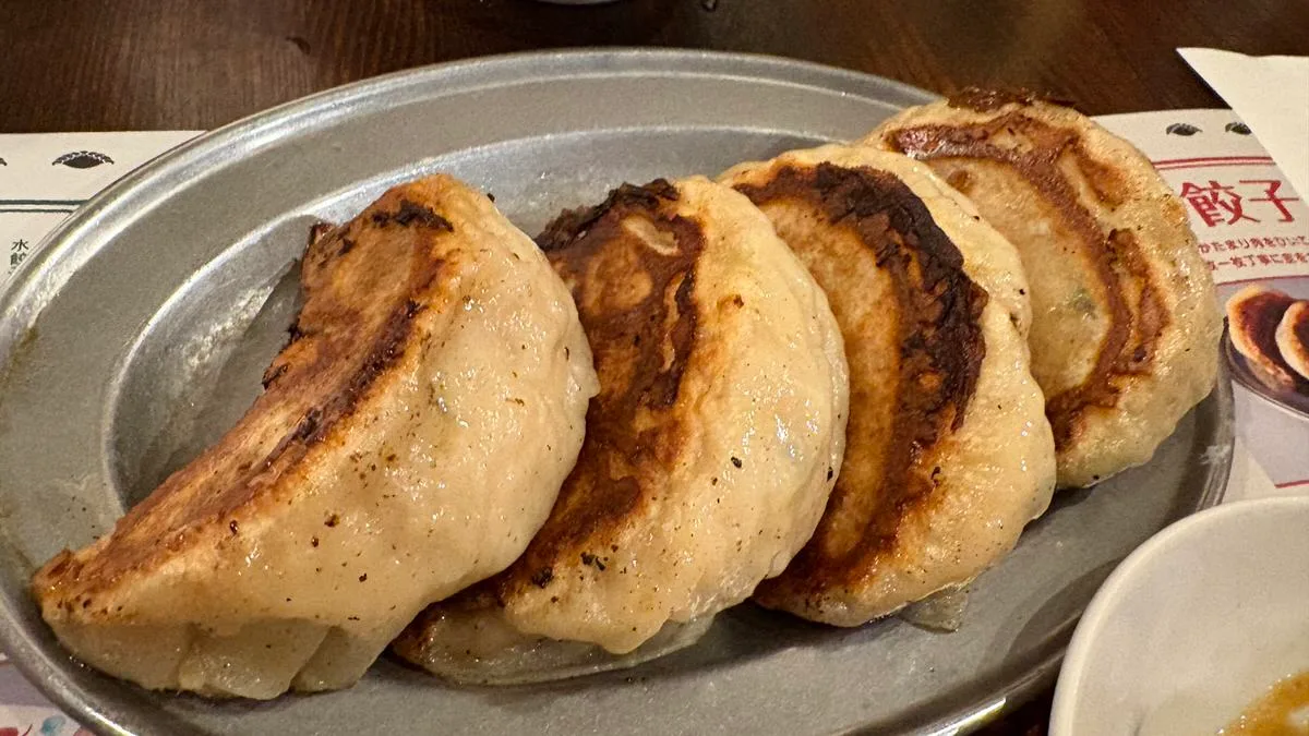 Four large pan-fried gyoza with browned patches on a metal oval plate