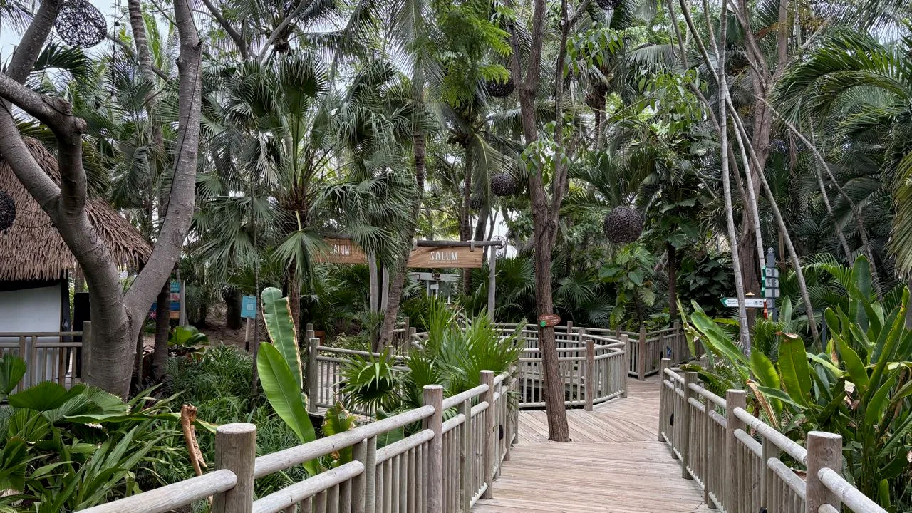 A wooden boardwalk with railings running through palms and tropical plants toward a hanging wooden sign that reads SALUM